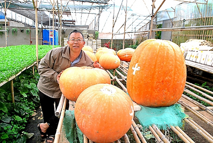 du lich canh nong o xu ngan hoa