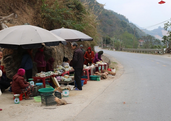 nghe an mang dang vung cao vao mua thu hoach