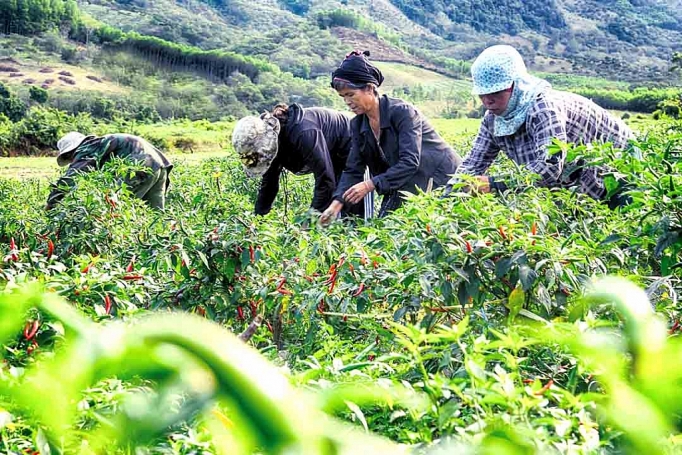 ngay moi o xa vung cao vinh thuan