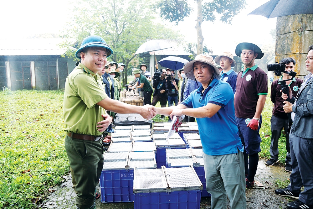 92 động vật hoang dã về với rừng tự nhiên