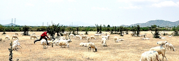 ben bi cung nang gio