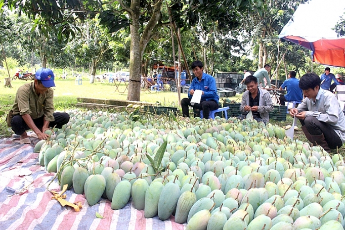 manh dan chuyen doi quy trinh de xuat ngoai