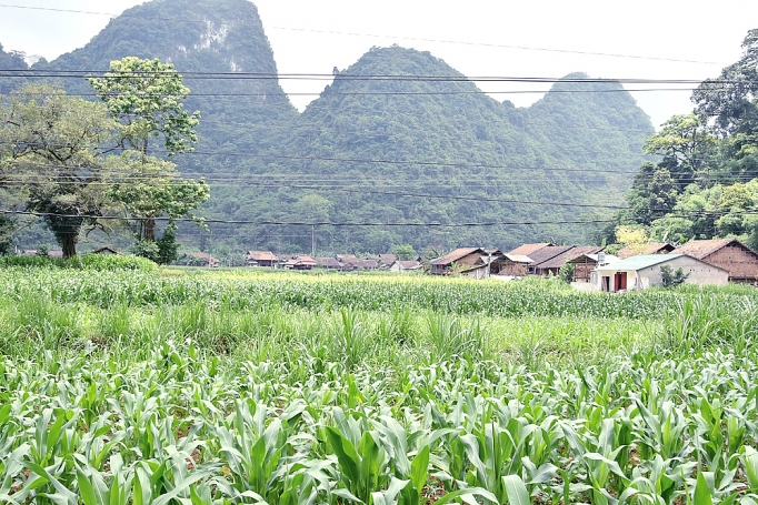 trai nghiem du lich cong dong phia thap