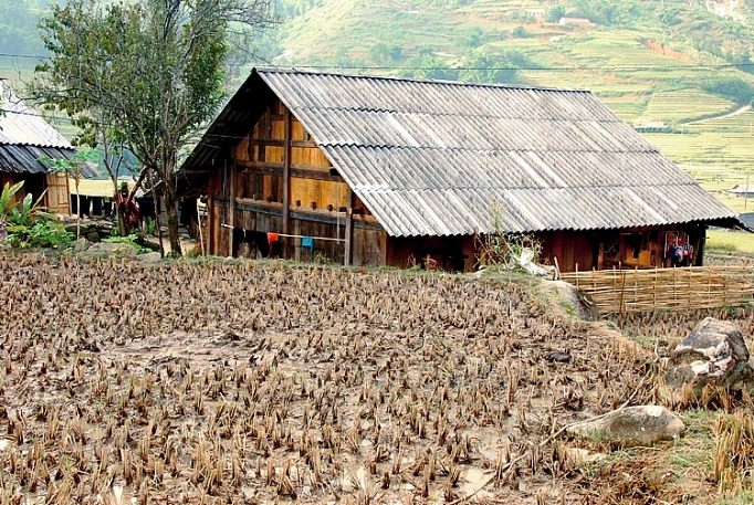 ngan ngua amiang trang vi suc khoe cong dong