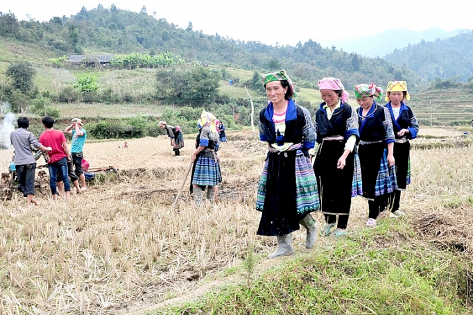 phat trien sinh ke ben vung cho phu nu nong thon