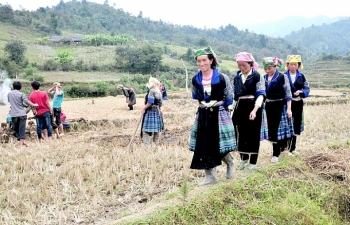 Phát triển sinh kế bền vững cho phụ nữ nông thôn