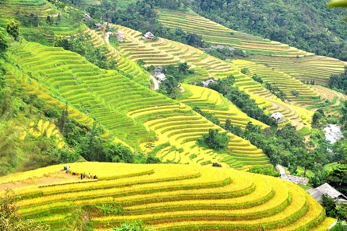 loi moi goi tu nhung bac thang vang