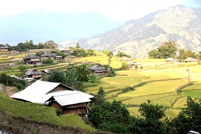 mua vang tren reo cao