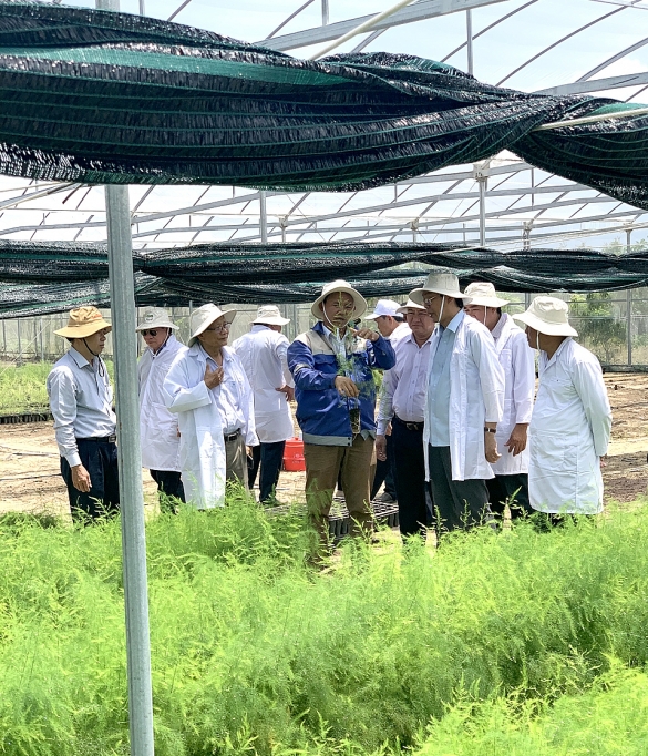 mang tay xanh giup hoi sinh vung dat kho