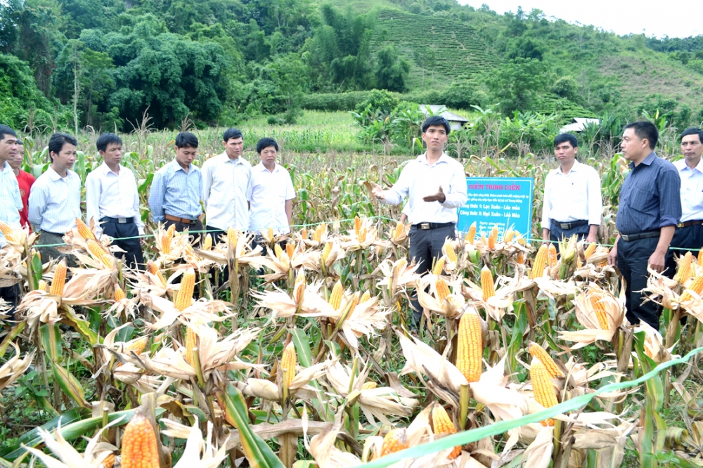Tăng tốc phát triển kinh tế - xã hội, giảm nghèo đa chiều