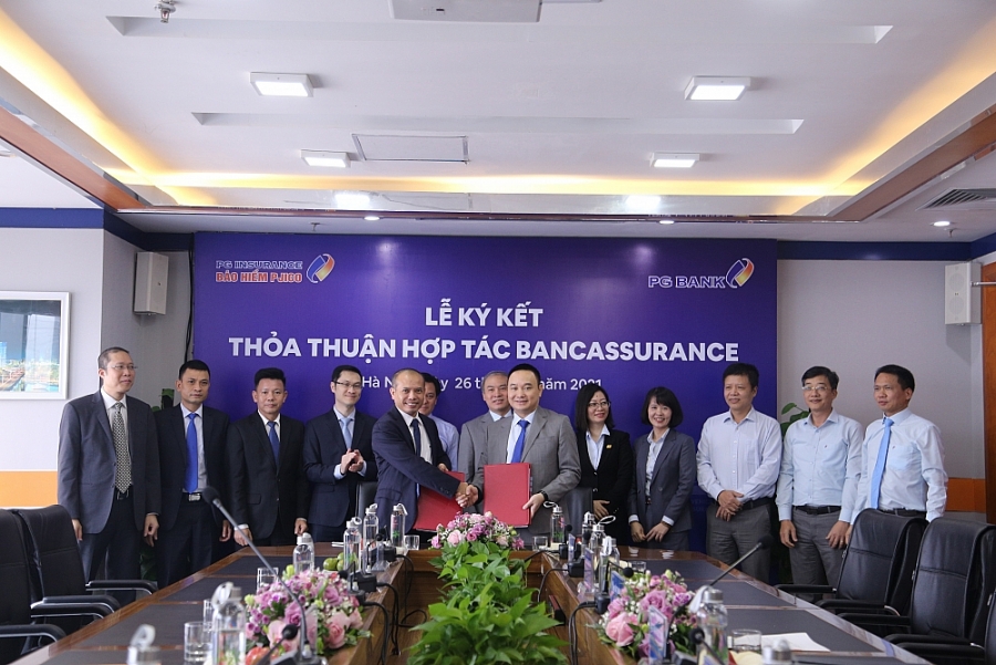 Lợi nhuận PJICO tăng kỷ lục