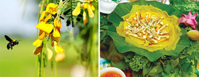Bánh xèo bông điên điển món ngon miền Tây