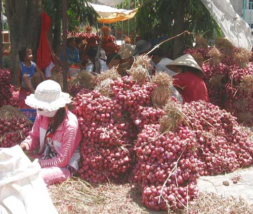 Bộ Công Thương triển khai các biện pháp thúc đẩy tiêu thụ mặt hàng hành tím trên địa bàn Sóc Trăng