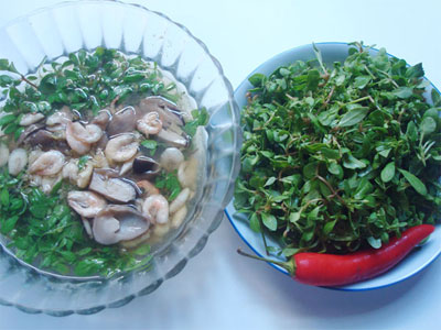 Chợt thèm canh rau đắng