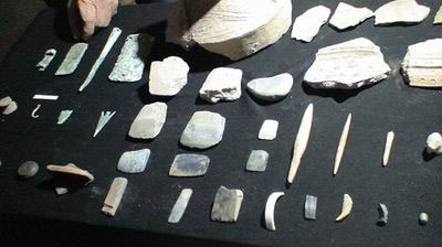 Khai quật tại Phùng Nguyên, Phú Thọ