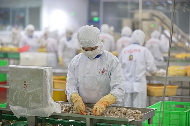 Xuất khẩu thuỷ sản tăng tốc