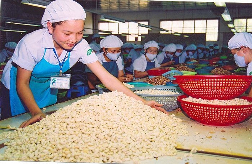Thực Phẩm Việt Nam có thể chen chân được vào thị trường Thái Lan?