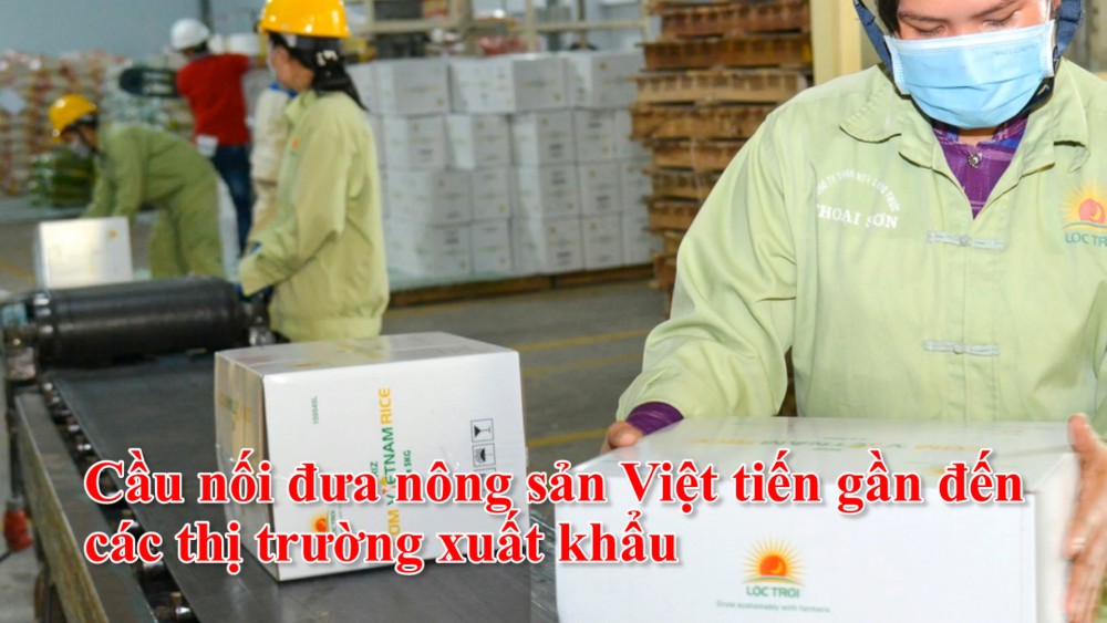 Cầu nối đưa nông sản Việt tiến gần đến các thị trường xuất khẩu