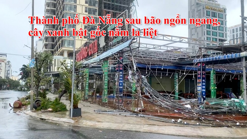 Thành phố Đà Nẵng sau bão ngổn ngang, cây xanh bật gốc nằm la liệt