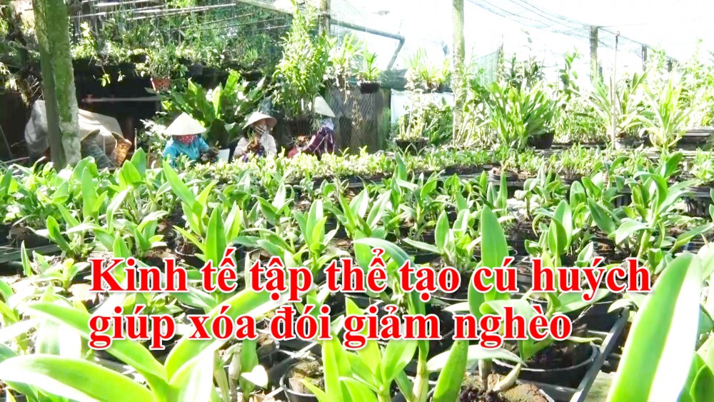 Kinh tế tập thể tạo cú huých giúp xóa đói giảm nghèo