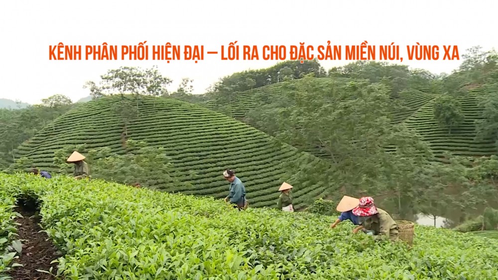 Kênh phân phối hiện đại – Lối ra cho đặc sản miền núi, vùng xa