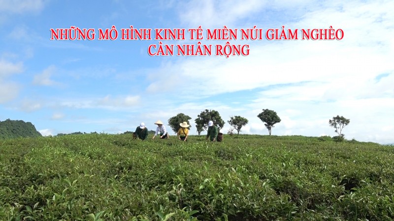 Những mô hình kinh tế miền núi giảm nghèo cần nhân rộng