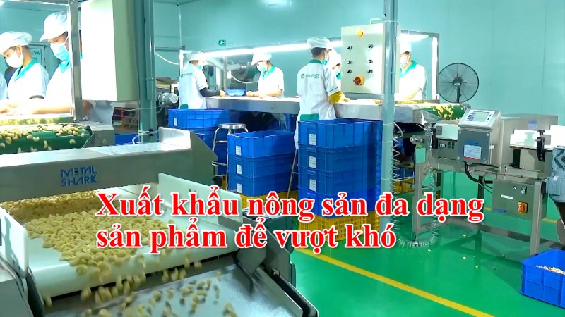 Xuất khẩu nông sản đa dạng sản phẩm để vượt khó