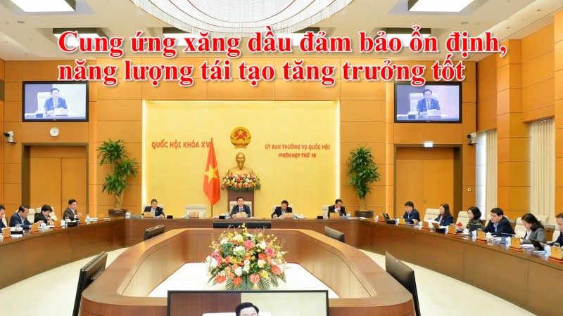 Cung ứng xăng dầu đảm bảo ổn định, năng lượng tái tạo tăng trưởng tốt