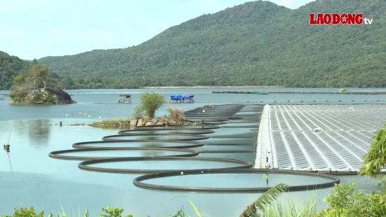 Ngăn chặn việc lái xuồng máy chở du khách dạo lòng hồ thủy điện trái phép