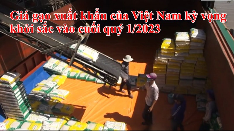 Giá gạo xuất khẩu của Việt Nam kỳ vọng khởi sắc vào cuối quý 1/2023