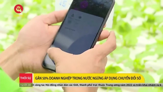 Gần 50% doanh nghiệp trong nước ngừng áp dụng chuyển đổi số