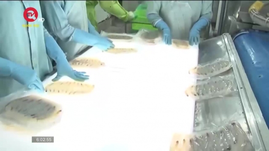 Xuất khẩu thủy sản bật tăng trở lại