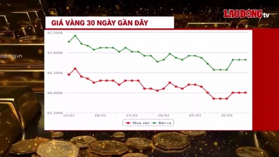 Giá vàng và ngoại tệ 13.3: Ồ ạt mua gom, giá vàng tăng vụt