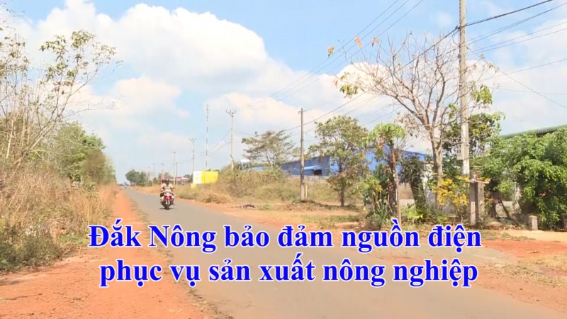 Đắk Nông bảo đảm nguồn điện phục vụ sản xuất nông nghiệp