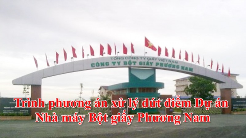 Trình phương án xử lý dứt điểm Dự án Nhà máy Bột giấy Phương Nam