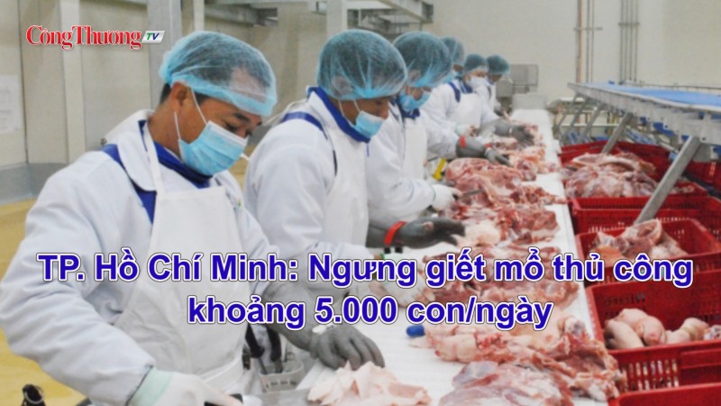 Thành phố Hồ Chí Minh: Ngưng giết mổ thủ công khoảng 5.000 con/ngày