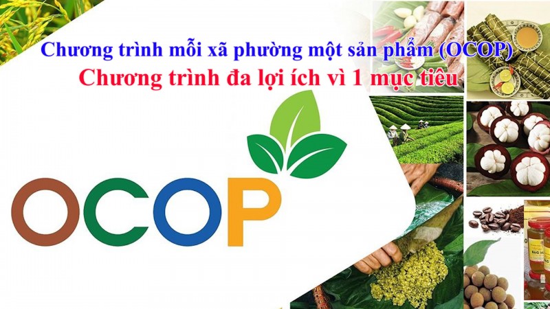 Chương trình mỗi xã phường một sản phẩm (OCOP) Chương trình đa lợi ích vì 1 mục tiêu