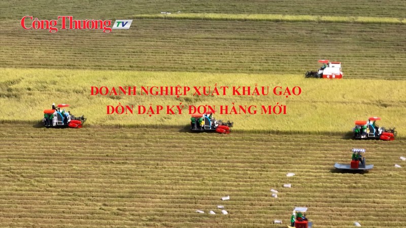 Doanh nghiệp xuất khẩu gạo dồn dập ký đơn hàng mới