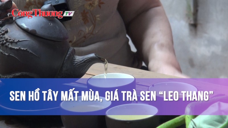 Sen Hồ Tây mất mùa, giá trà sen "leo thang"