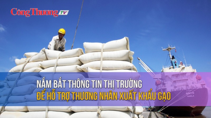 Nắm bắt thông tin thị trường để hỗ trợ thương nhân xuất khẩu gạo