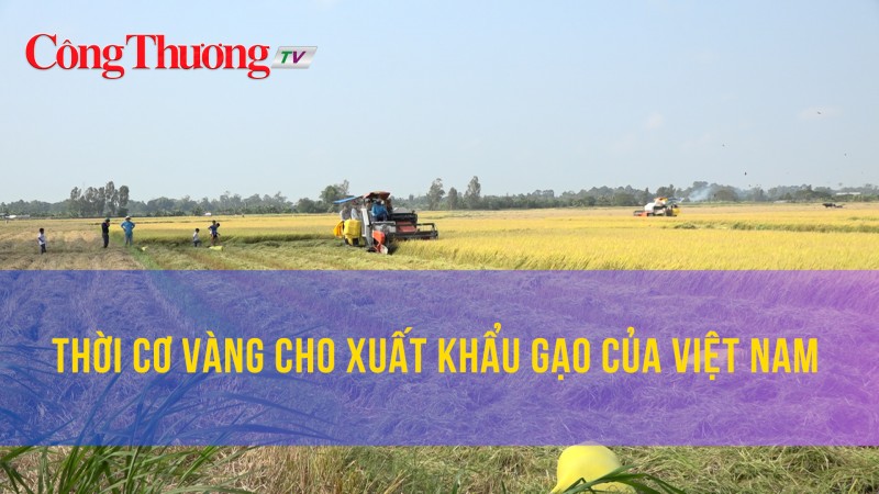 Thời cơ vàng cho xuất khẩu gạo của Việt Nam