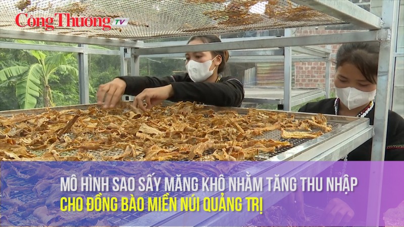 Mô hình sao sấy măng khô nhằm tăng thu nhập cho đồng bào miền núi Quảng Trị