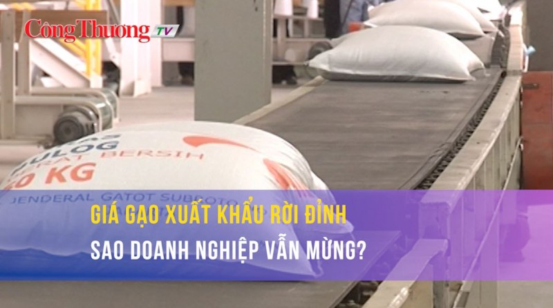 Giá gạo xuất khẩu rời đỉnh, sao doanh nghiệp vẫn mừng