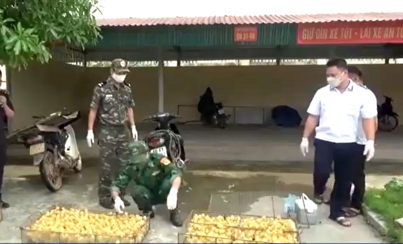 Lạng Sơn siết chặt biên giới ngăn gia cầm nhập lậu