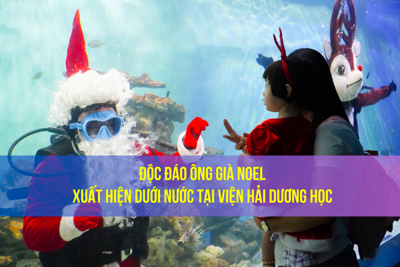 doc dao ong gia noel xuat hien duoi nuoc tai vien hai duong hoc