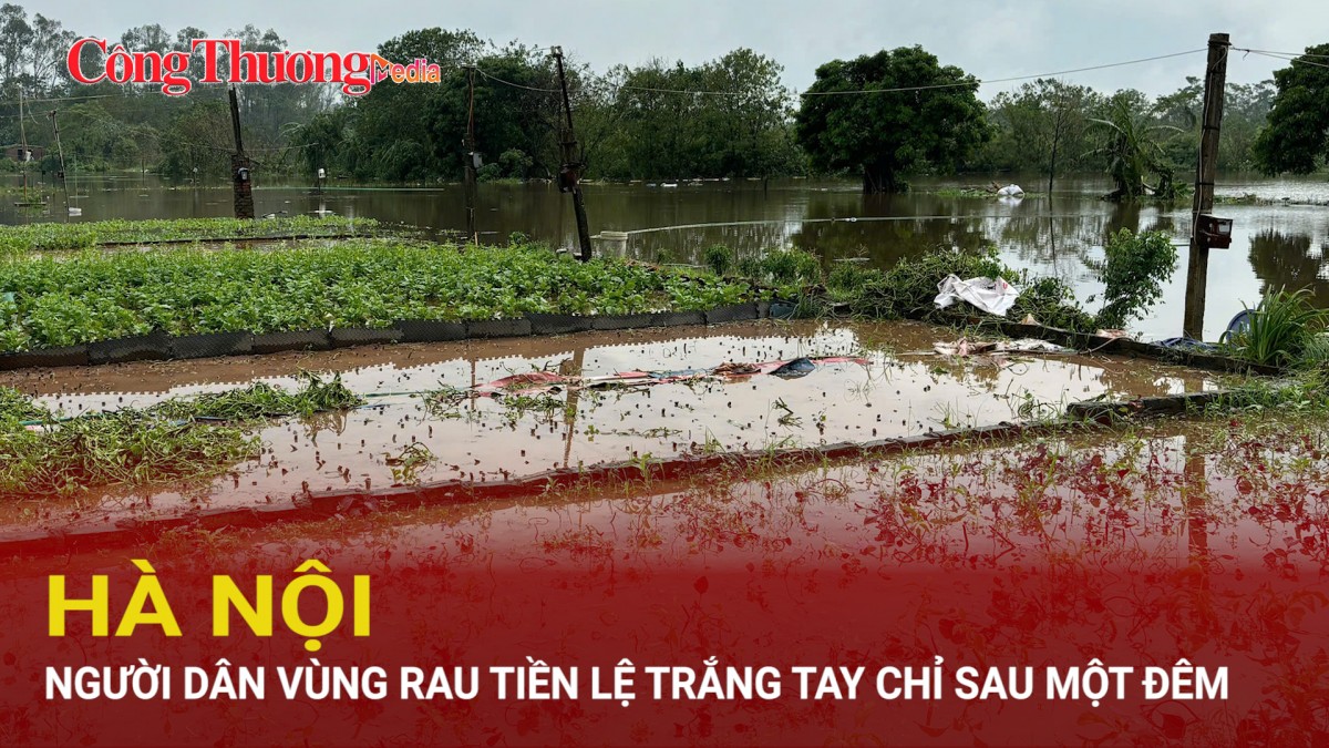 Hà Nội: Người dân vùng rau Tiền Lệ trắng tay chỉ sau một đêm