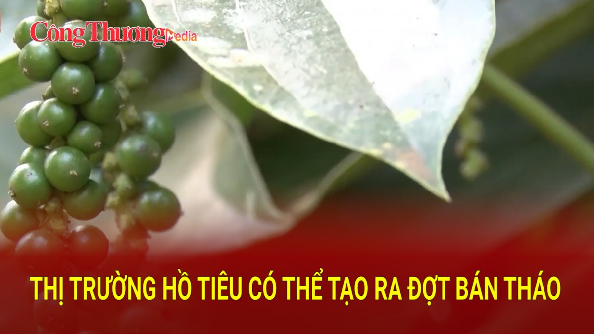 gia tang cao thi truong ho tieu co the tao ra dot ban thao