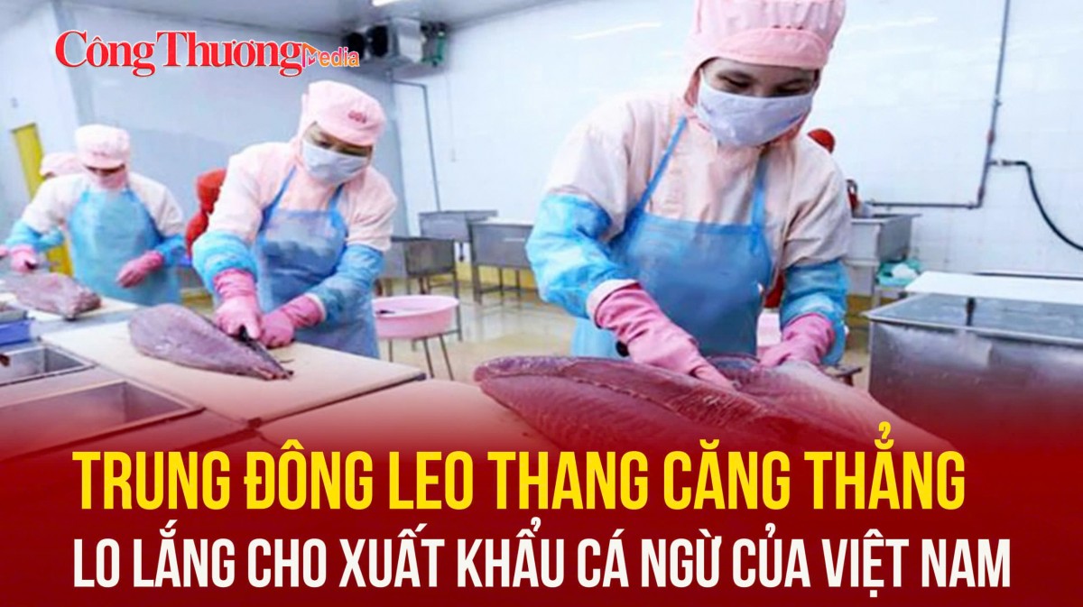 trung dong leo thang cang thang lo lang cho xuat khau ca ngu cua viet nam