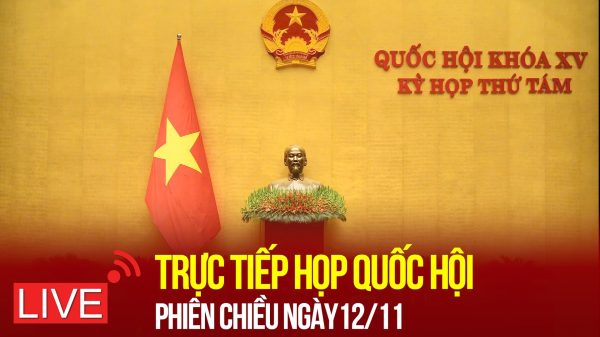 [TRỰC TIẾP]: Kỳ họp thứ 8, Quốc hội khoá XV chiều ngày 12/11/2024