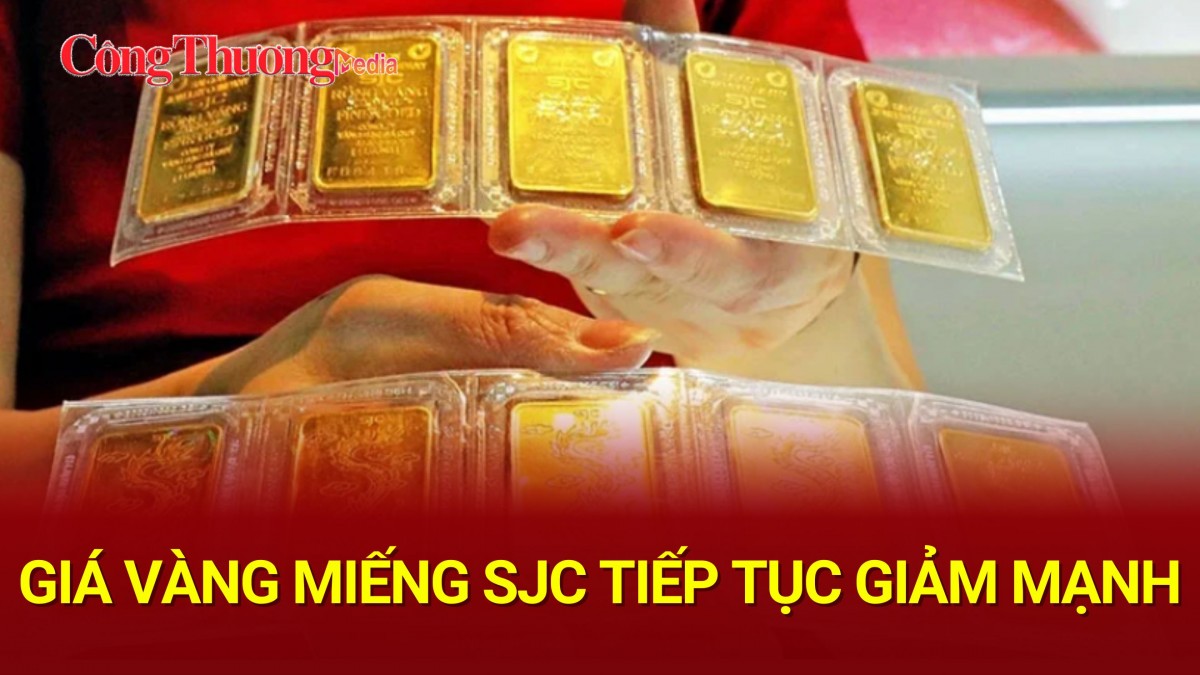 ban tin gia vang ngay 1411 sau mot dem vang mieng sjc boc hoi tien trieu